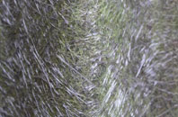 Redstocks fibreglass roof work